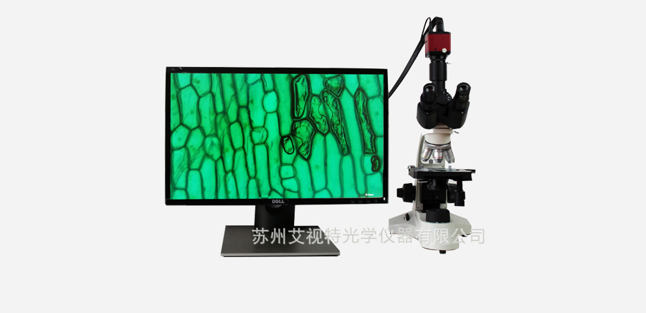AH50S生物显微镜2.jpg