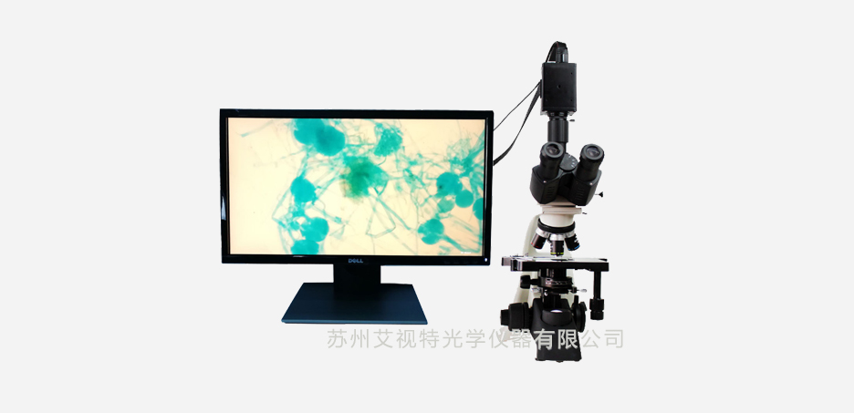 AH100S生物显微镜2.jpg