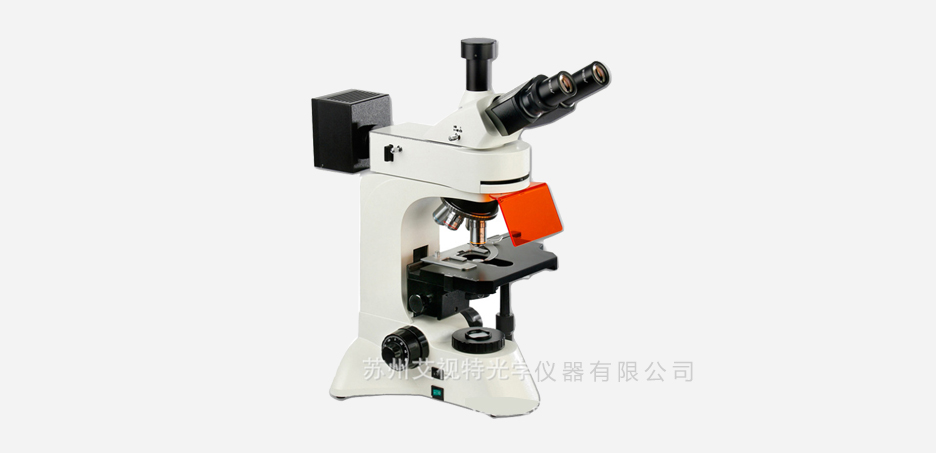 A14ZYG荧光显微镜2.jpg