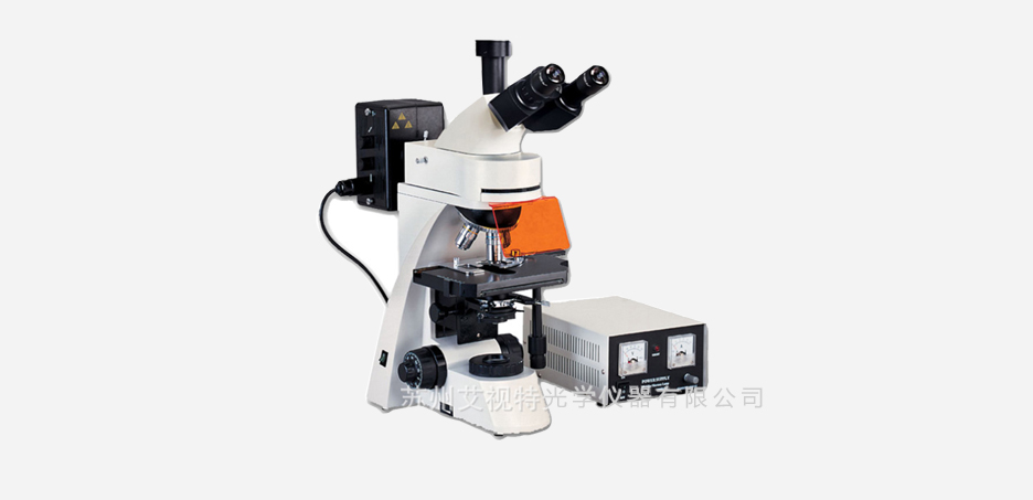 A13ZYG荧光显微镜2.jpg